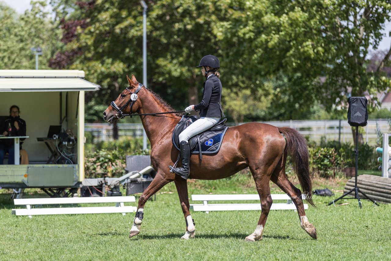 Bild 2 - Pony Akademie Turnier